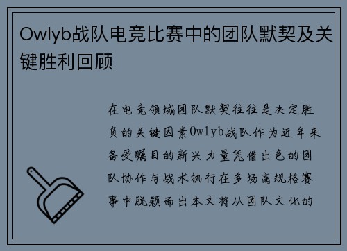 Owlyb战队电竞比赛中的团队默契及关键胜利回顾