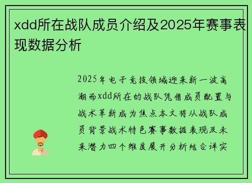 xdd所在战队成员介绍及2025年赛事表现数据分析