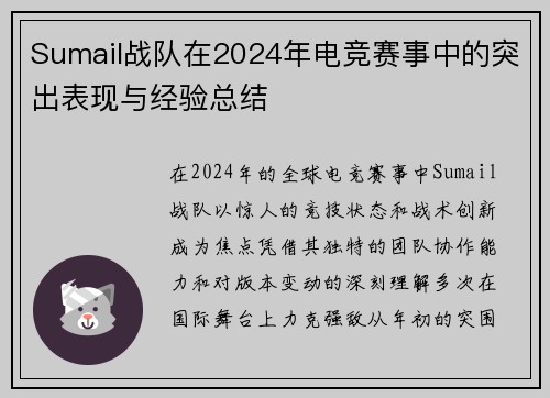 Sumail战队在2024年电竞赛事中的突出表现与经验总结